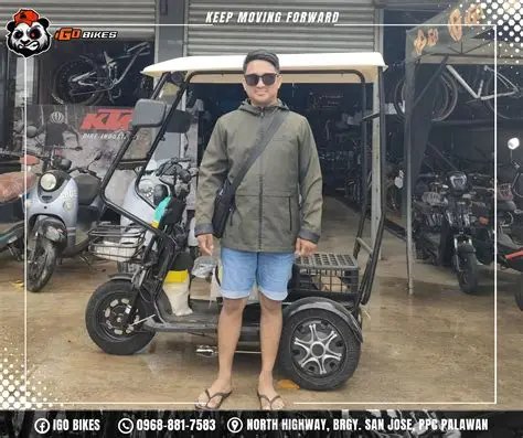3-Wheel Cargo E-Bike